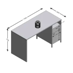 Bureau 1 tiroir 1 porte en bois imitation chêne clair - BU13001