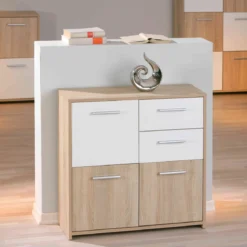Commode 3 portes 2 tiroirs en bois - CO12053-1