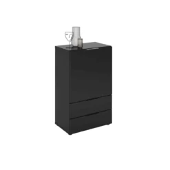 Commode 1 porte 2 tiroirs en bois noir satiné - CO13034-3