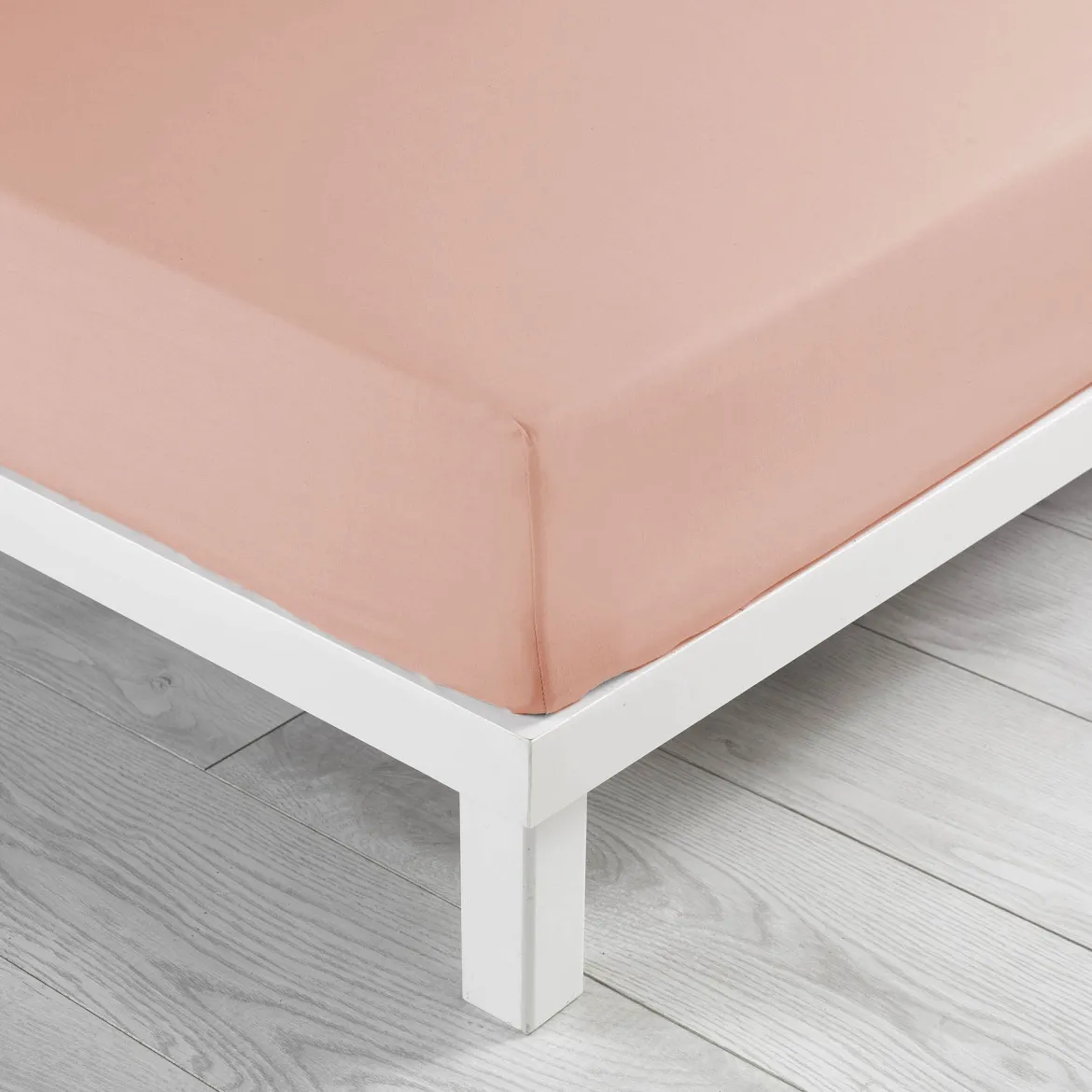 Drap housse coton Douceur d'Intérieur Linette