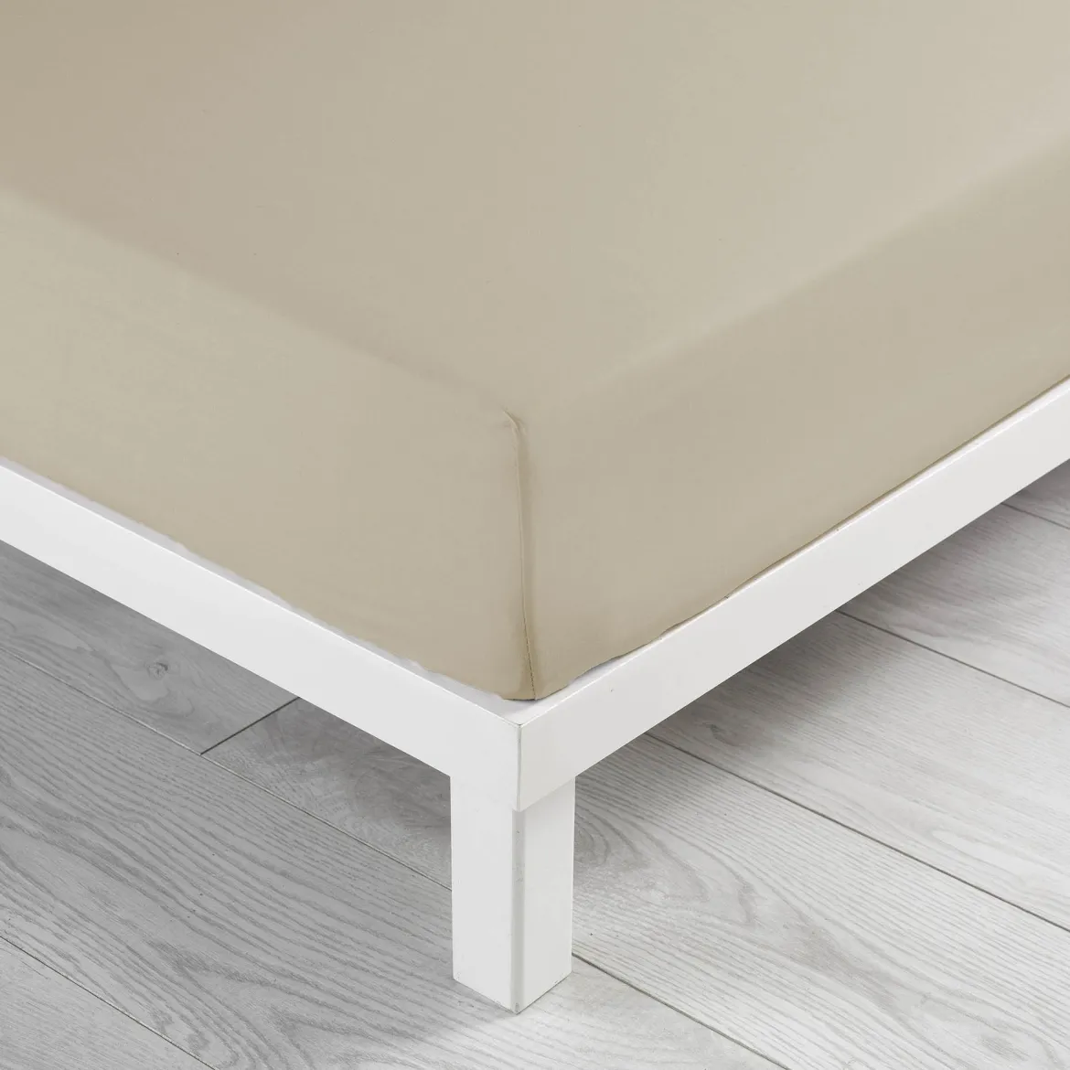 Drap housse coton Douceur d'Intérieur Linette