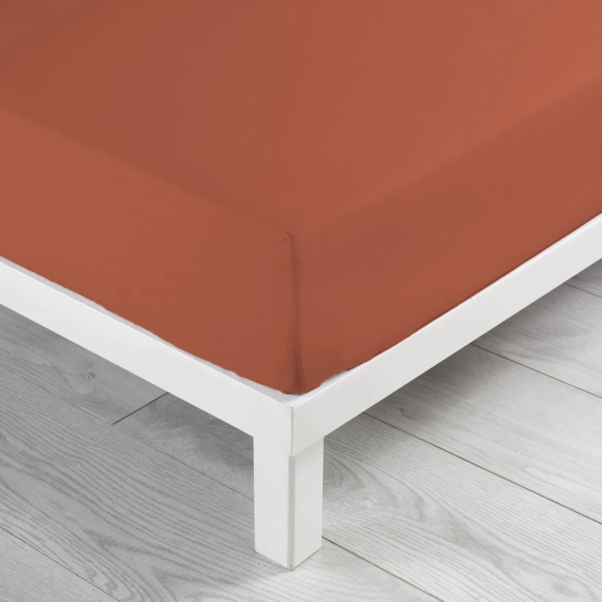 Drap housse coton Douceur d'Intérieur Linette