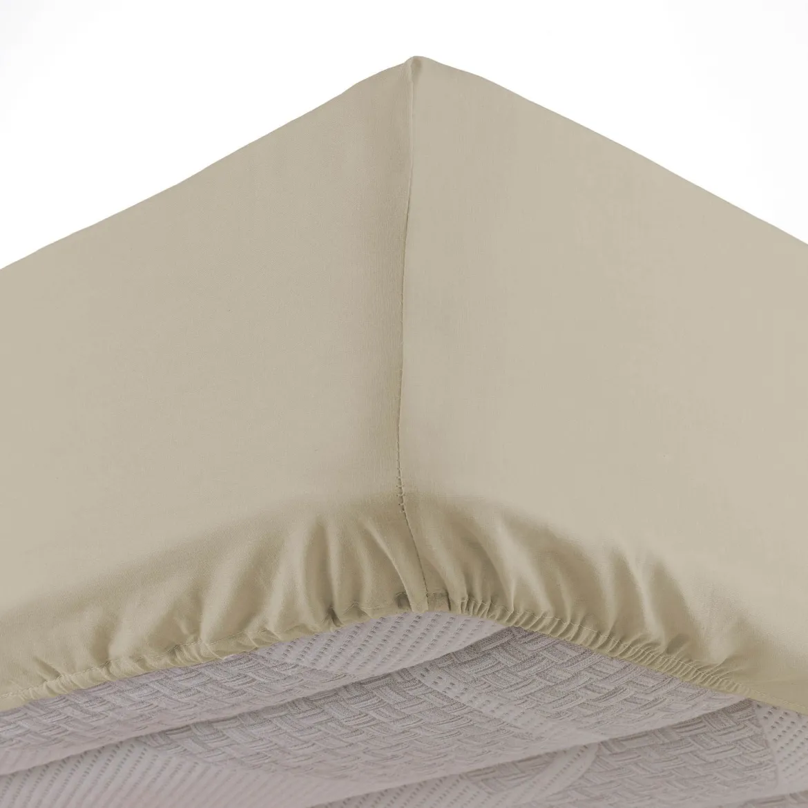 Drap housse coton Douceur d'Intérieur Linette