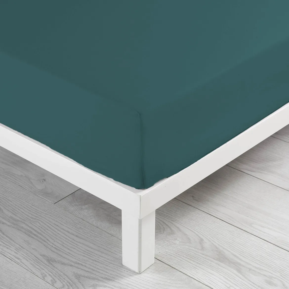 Drap housse coton Douceur d'Intérieur Linette