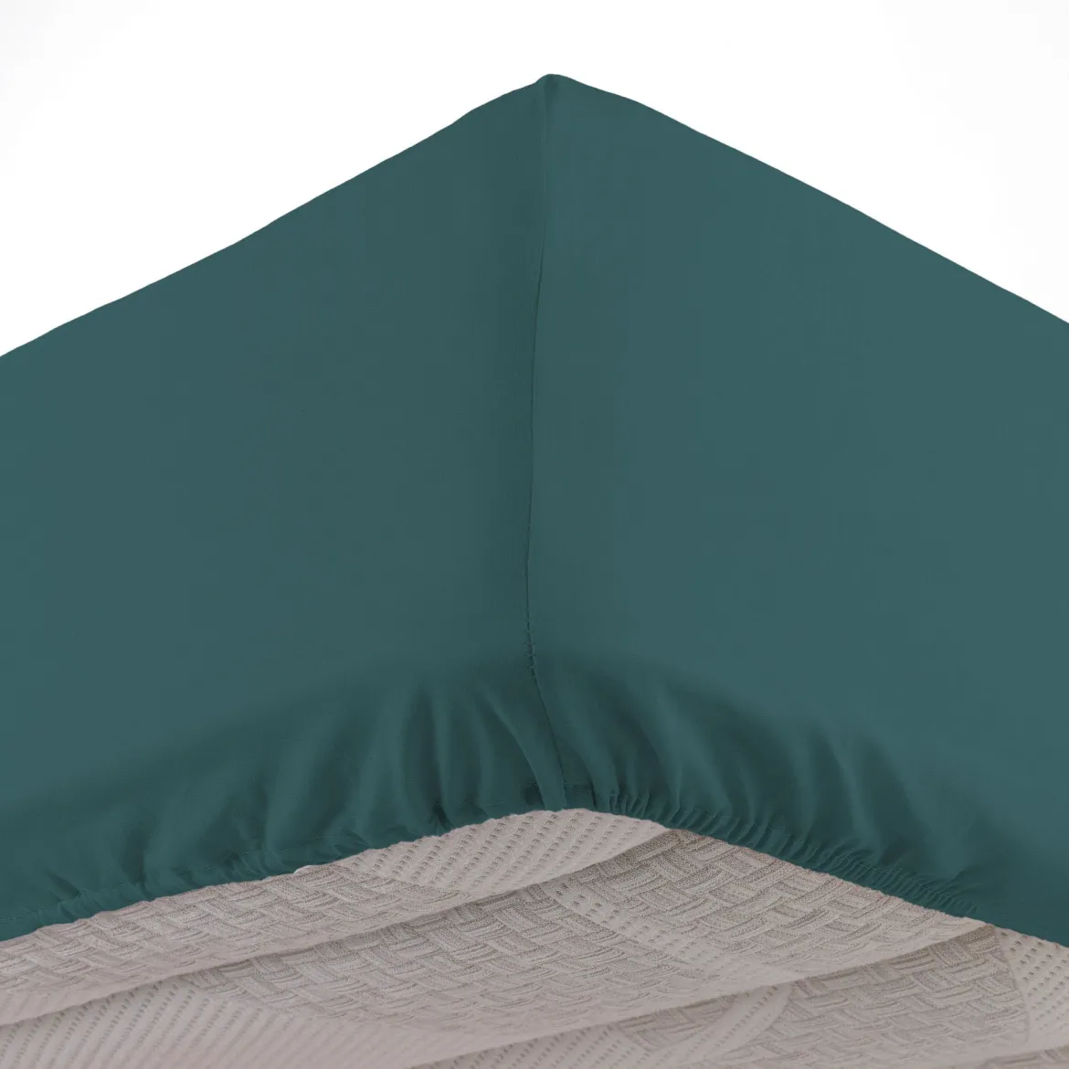 Drap housse coton Douceur d'Intérieur Linette