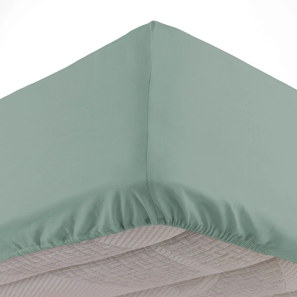 Drap housse coton Douceur d'Intérieur Linette