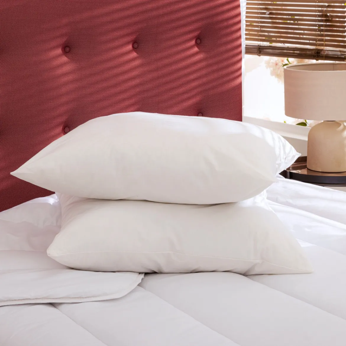 Lot de 2 oreillers éco naturels moelleux enveloppe coton bio Someo