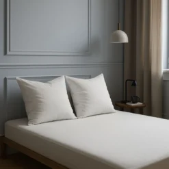 Lot de 2 oreillers grand confort 60x60