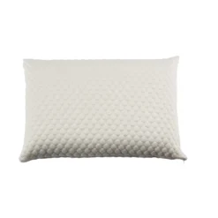 Lot de 2 oreillers latex et housses de protection Someo 40x60