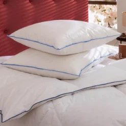Lot de 2 oreillers moelleux duvet de canard anti-allergènes Someo