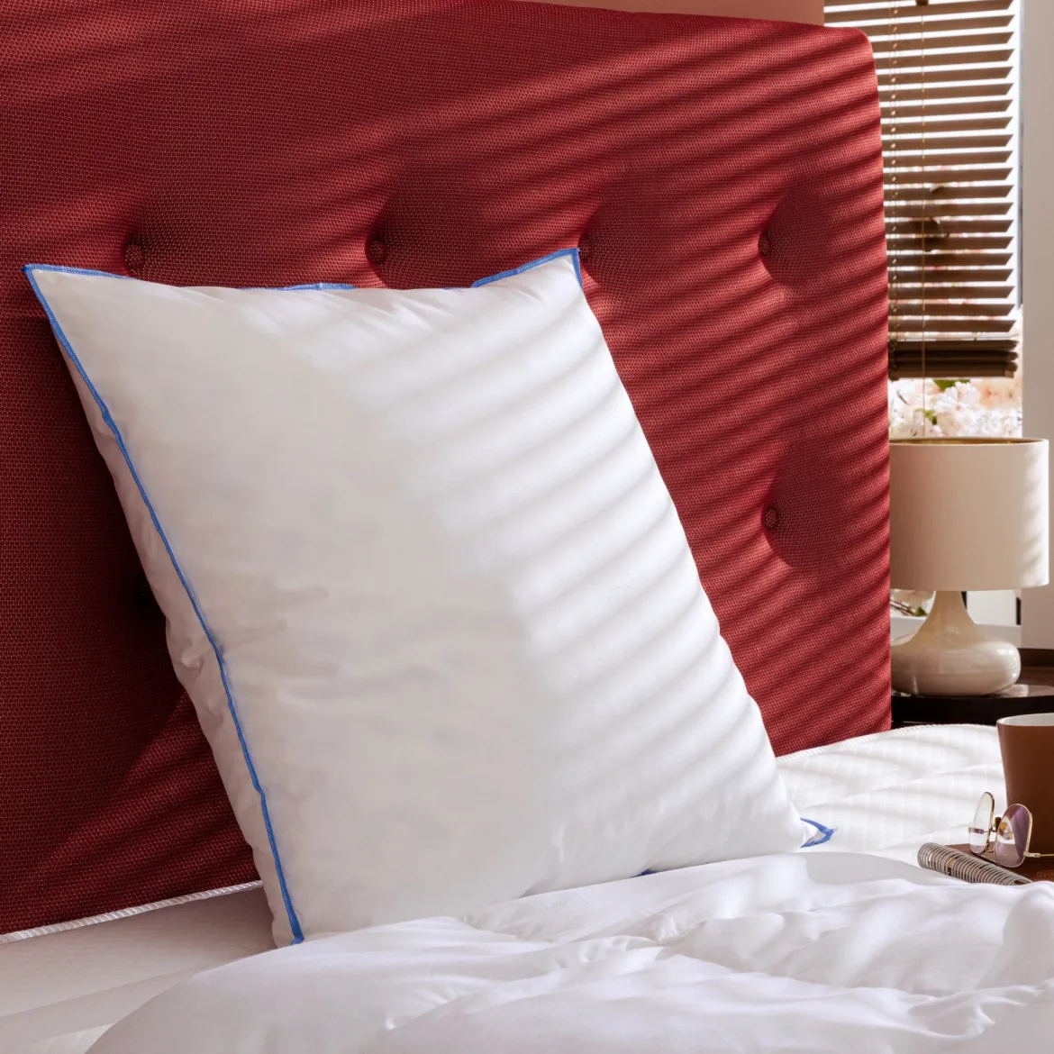 Lot de 2 oreillers moelleux duvet de canard anti-allergènes Someo