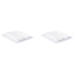 Lot de 2 oreillers moelleux duvet de canard anti-allergènes Someo