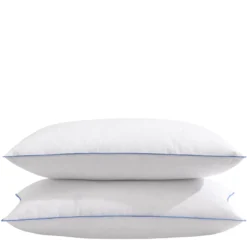 Lot de 2 oreillers moelleux duvet de canard anti-allergènes Someo