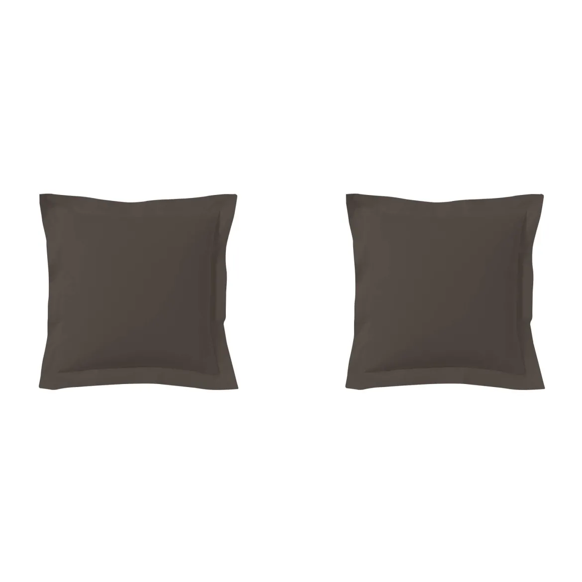 Lot de 2 taies d'oreillers zinc 100% coton