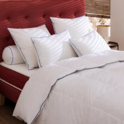 Oreiller moelleux duvet de canard anti-allergènes Someo
