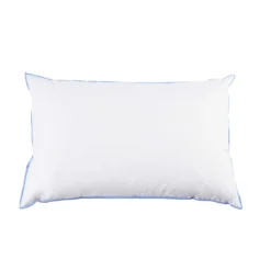 Oreiller moelleux duvet de canard anti-allergènes Someo