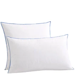 Oreiller moelleux duvet de canard anti-allergènes Someo