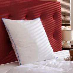 Oreiller moelleux duvet de canard anti-allergènes Someo