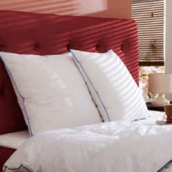 Oreiller moelleux/ferme duvet de canard anti-allergènes Someo
