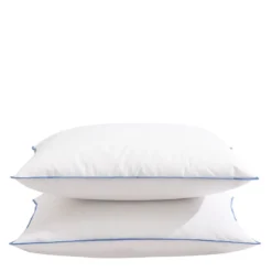 Oreiller moelleux/ferme duvet de canard anti-allergènes Someo