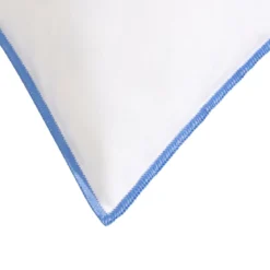 Oreiller moelleux/ferme duvet de canard anti-allergènes Someo