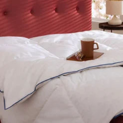 Pack couette prestige hôtellerie et oreiller 70% duvet de canard anti-allergènes Someo