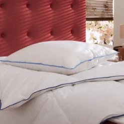 Pack couette prestige hôtellerie et oreiller 70% duvet de canard anti-allergènes Someo