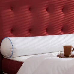 Traversin moelleux/ferme duvet de canard anti-allergènes Someo
